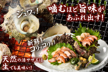 兵庫県香住産 天然 活 サザエ 1kg(7~10個) さざえ 33-19