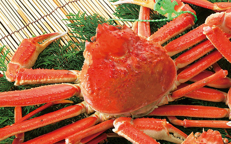 釜茹で 松葉ガニ 1匹 約600~700g カニ 33-25