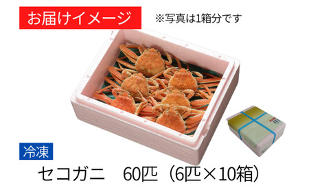 セコガニ 60匹！（約120g×6匹入り×10箱） 釜茹で 冷凍 発送目安：11月