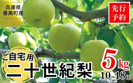 【先行予約】梨 【20世紀梨 ご自宅用 5kg サイズ L～5L混合（10～18玉）】ご自宅用 大人気 人気 ふるさと納税 おすすめ 返礼品 ランキング 二十世紀梨 果肉はしっかり シャキシャキの食感 ほどよい甘さとみずみずしさ 日本海に面する梨の本場 兵庫県香美町で育つ「香住梨」糖度を計測して出荷 兵庫県 香美町 フルーツ ナシ 青梨 和梨 ふるさと納税 JAたじま 12000円 12-20