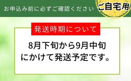 【先行予約】梨 【20世紀梨 ご自宅用 5kg サイズ L～5L混合（10～18玉）】ご自宅用 大人気 人気 ふるさと納税 おすすめ 返礼品 ランキング 二十世紀梨 果肉はしっかり シャキシャキの食感 ほどよい甘さとみずみずしさ 日本海に面する梨の本場 兵庫県香美町で育つ「香住梨」糖度を計測して出荷 兵庫県 香美町 フルーツ ナシ 青梨 和梨 ふるさと納税 JAたじま 12000円 12-20