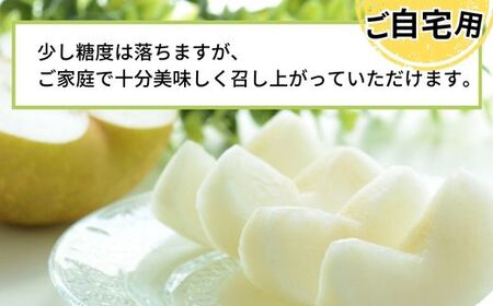 【先行予約】梨 【20世紀梨 ご自宅用 5kg サイズ L～5L混合（10～18玉）】ご自宅用 大人気 人気 ふるさと納税 おすすめ 返礼品 ランキング 二十世紀梨 果肉はしっかり シャキシャキの食感 ほどよい甘さとみずみずしさ 日本海に面する梨の本場 兵庫県香美町で育つ「香住梨」糖度を計測して出荷 兵庫県 香美町 フルーツ ナシ 青梨 和梨 ふるさと納税 JAたじま 12000円 12-20