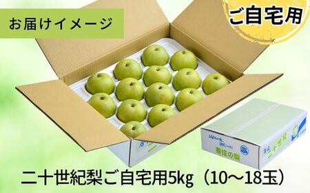 【先行予約】梨 【20世紀梨 ご自宅用 5kg サイズ L～5L混合（10～18玉）】ご自宅用 大人気 人気 ふるさと納税 おすすめ 返礼品 ランキング 二十世紀梨 果肉はしっかり シャキシャキの食感 ほどよい甘さとみずみずしさ 日本海に面する梨の本場 兵庫県香美町で育つ「香住梨」糖度を計測して出荷 兵庫県 香美町 フルーツ ナシ 青梨 和梨 ふるさと納税 JAたじま 12000円 12-20