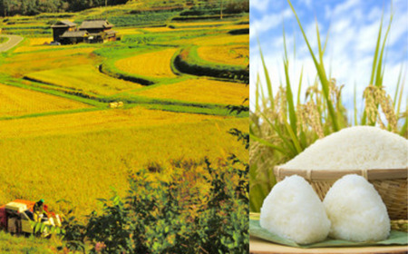 米 むらおかのお米1kgと矢田川みそギフトセット コシヒカリ 味噌 41-04