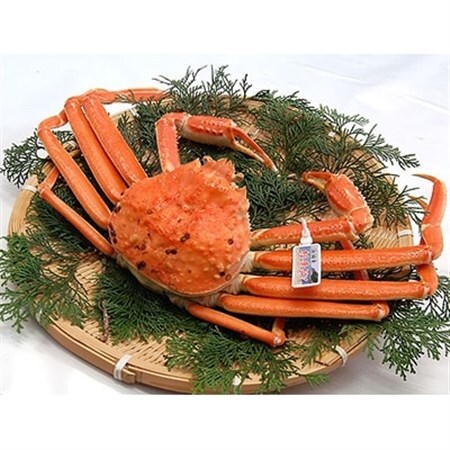 松葉ガニの本場より活〆茹でたてを即出荷　釜茹で松葉ガニ(冷蔵)　1枚　約800g【配送不可地域：離島・北海道・沖縄県・東北】【1040270】 9,125円