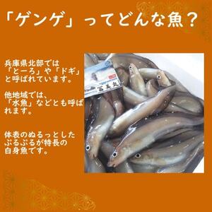 ゲンゲ(ドギ/トーロ/水魚)お吸い物　5パック(5人前)但馬ふるさとの味【配送不可地域：離島】【1511442】
