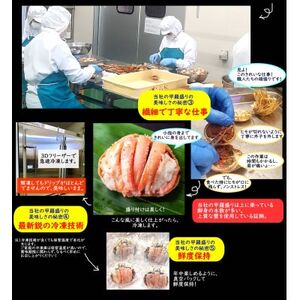 数量限定 せこがに甲羅盛 小サイズ4個 訳あり 個包装 簡易梱包 高鮮度3D凍結 剥く手間不要【配送不可地域:離島】【1529831】