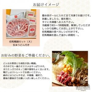 「但馬鴨」鴨鍋セット(大)玄米うどん付き【配送不可地域：離島】【1537944】