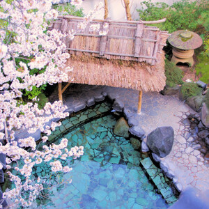 湯村温泉 朝野家 和室(10畳) 一泊二食付宿泊券(2名様ペア・平日限定)【1040272】