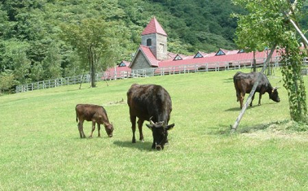 「世界農業遺産認定!」黒毛牛の但馬牛すき焼・しゃぶしゃぶ用　(もも300g・バラ200g)【配送不可地域：離島】【1060306】