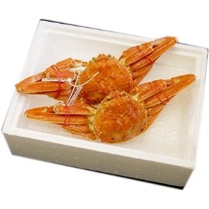 松葉ガニの本場より プロ茹で松葉ガニ(冷凍) 約700g×2枚【配送不可地域:離島】【1062957】