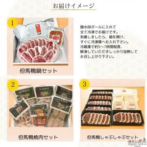 【毎月定期便】但馬鴨お楽しみコース5~6人前(鴨鍋 焼肉 しゃぶしゃぶ)全3回【配送不可地域:離島】【4055909】