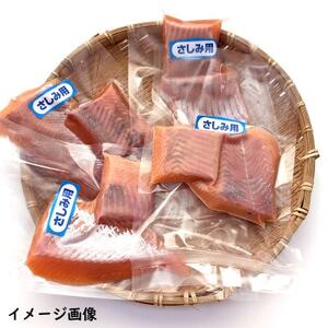 薬剤未使用で安心 国産とっとり琴浦グランサーモン刺身用 500g訳あり 小分け個包装で便利 ご当地【配送不可地域:離島】【1551135】