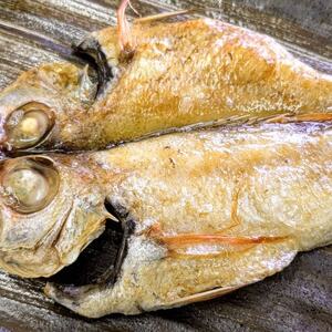 のどぐろ(赤睦)開き一夜干し 中型サイズ2枚【数量限定】個包装でお届け【配送不可地域:離島】【1613714】