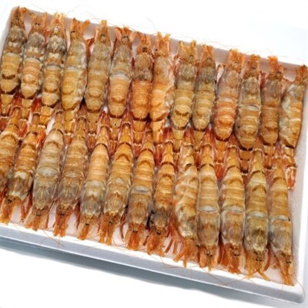 兵庫県新温泉町 お刺身用 活〆モサエビ 冷凍 28尾入 兵庫県新温泉町 ふるさと納税サイト ふるなび