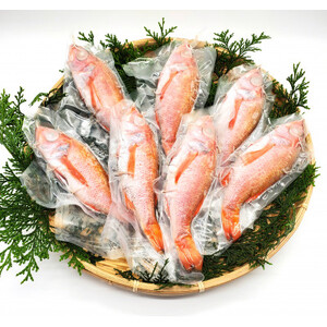 山陰のノドグロ　7尾入　煮付け、塩焼きに!【配送不可地域：離島】【1117132】