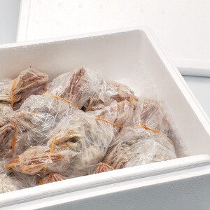 松葉ガニの本場 訳あり釜茹でセコガニ姿(冷凍)小サイズ5杯 高鮮度3D凍結 せいこがに 親ガニ メス【配送不可地域:離島】【1134047】