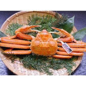 浜坂産タグ付き茹で松葉かに(1枚　約500～600g)【配送不可地域：離島】【1246573】