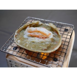 浜坂産タグ付き茹で松葉かに(1枚　約500～600g)【配送不可地域：離島】【1246573】