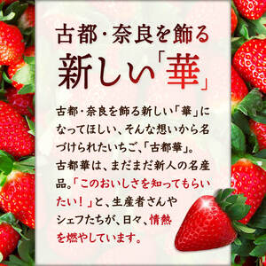 【数量限定】奈良のプレミアム苺「古都華」2024年1月以降発送　大粒 苺 いちご 果物 古都華 大粒 苺 いちご 果物　古都華　大粒 苺 いちご 果物 古都華 大粒 苺 いちご 果物 古都華 大粒 苺 いちご 果物 古都華 I-275 奈良 なら