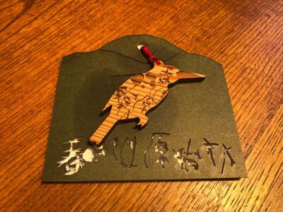 春日山原始林ガイドウォーク 旅行 旅 体験 ツアー 原始林 世界遺産 山 春日山 F-88