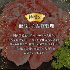 大和牛　シャトーブリアン　ステーキ用　1kg　冷凍　和牛　黒毛　E-36