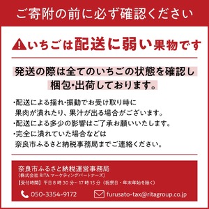 【数量限定】いちご 古都華 大粒 9～12粒 /いちご イチゴ 苺 ブランドいちご 赤いちご 奈良県産 [HJ-05]  （2026年1月以降発送）