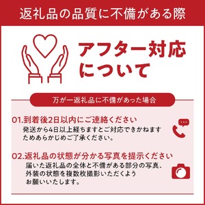 【数量限定】いちご 古都華 大粒 9～12粒 /いちご イチゴ 苺 ブランドいちご 赤いちご 奈良県産 [HJ-05]  （2026年1月以降発送）