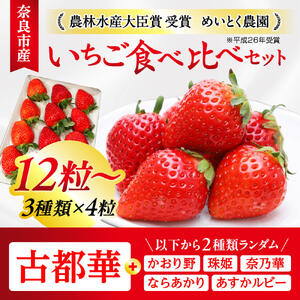 数量限定】奈良 いちご 食べ比べセット（2024年1月以降発送） 古都華