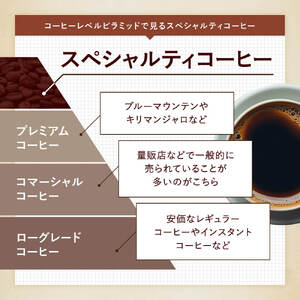【頒布会・6ヶ月】定期便【粉】 スペシャルティコーヒー ROKUMEI COFFEE (ロクメイコーヒー) 焙煎士のおすすめコーヒー豆 3種類コース 150g×3種類コース（ 6ヶ月） NJ-02
