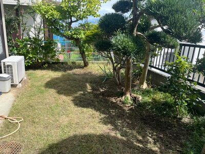 【掃除・買い物・移動などに使える】シニア向けサービス6000円分クーポン券 まごころサポート 奈良KAEDE店 家事 代行 犬の散歩 おそうじ H-132 家事 代行 犬の散歩 おそうじ