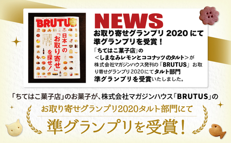 クッキー詰め合わせ 全10種類 クッキー ちてはこ菓子店 I-303
