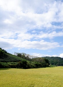 甘酒 生あまざけ ［2種5個セット］ 【大和高原醸造所】 米麹 ノンアルコール甘酒 I-319