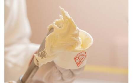 ジェラート ジェラテリア ノンナ 手作りジェラート 5個入り ジェラート 5-008