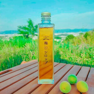 シロップ 梅シロップ 追分梅シロップ シロップ原液 かき氷シロップ 10-024