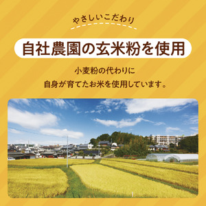 グルテンフリー バターチキンカレー レトルト カレー 180g×10袋 G-131