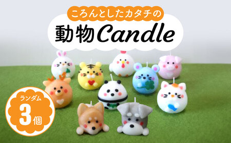 キャンドル 動物candle3個セット ろうそく canata conata 7-001