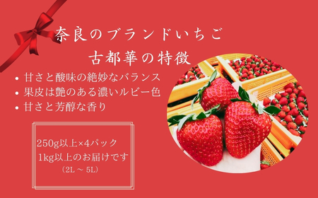 のぼるちゃんファームの古都華いちご イードム株式会社 奈良苺 ブランド苺 なら苺 奈良イチゴ ブランドイチゴ 奈良県 奈良市 なら 13-004 いちご 苺