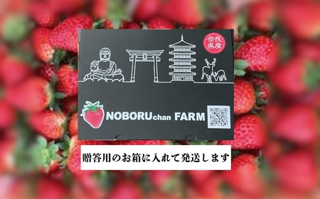 のぼるちゃんファームの古都華いちご イードム株式会社 奈良苺 ブランド苺 なら苺 奈良イチゴ ブランドイチゴ 奈良県 奈良市 なら 13-004 いちご 苺