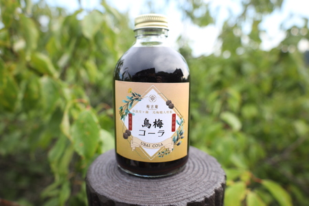 烏梅コーラと完熟梅シロップのセット 梅古庵 17-004 コーラ 梅 シロップ