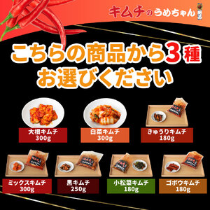 キムチ 5種類・ゆで豚・酢味噌 【キムチのうめちゃん】 手作り 16-006