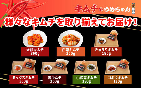 キムチ うめちゃん全部盛り 【キムチのうめちゃん】 手作り 33-008