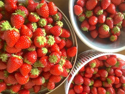 古都華のスイーツセット