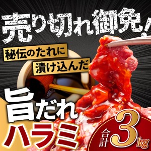 旨だれハラミ 3kg 牛肉 選べる発送時期 容量 牛肉 肉 牛 濃厚 旨味 便利 小分け お肉 牛肉 ハラミ 牛ハラミ 冷凍 送料無料 奈良県 奈良市 近藤精肉店 奈良市 ふるさと納税 奈良県 奈良市 なら 24-007