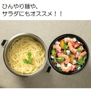 お弁当箱 お弁当 保温 保冷 「抗菌真空ステンレス丼ランチジャー」 550ml 2段 ベーシック 保温ジャー 保冷ジャー お弁当箱 スケーター 10-086