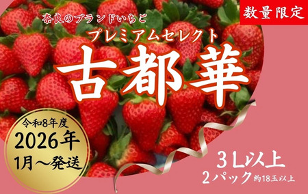 【2026年（令和8年）1月～発送】 いちご 苺 古都華プレミアムセレクト（２パック入り）甘い いちご 大粒 奈良県認証 めいとく農園