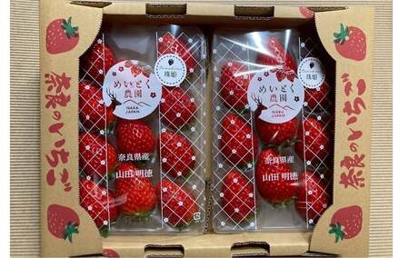  いちご 苺 珠姫（たまひめ）×4パック 甘い 大粒 イチゴ めいとく農園