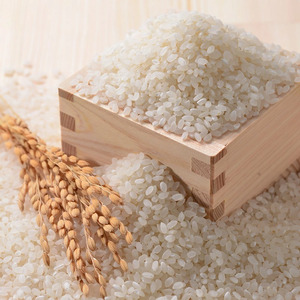 柿の葉寿司 5色20個入 13-053