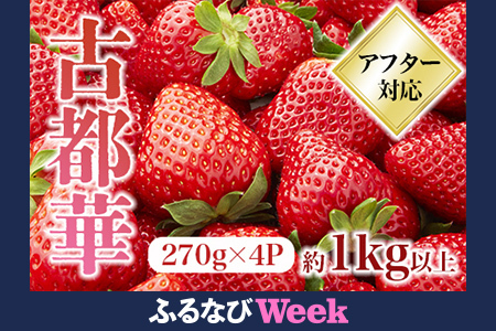 【ふるなびWEEK対象】【2026年（令和8年）1月～発送】古都華いちご  いちご 11-108　FN-Limited-PR