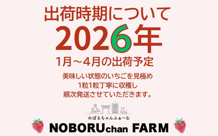 【ふるなびWEEK対象】【2026年（令和8年）1月～発送】古都華いちご  いちご 11-108　FN-Limited-PR